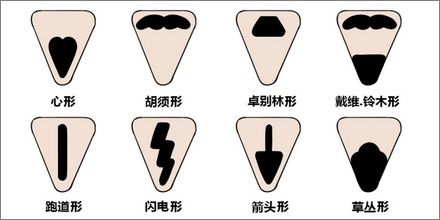 人的头发可以移植到阴毛？