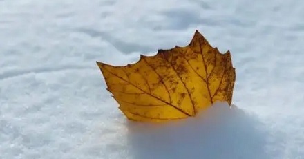 雪居然还分「新雪」和「旧雪」？