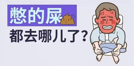 憋回去的屎，会在肠子里再次消化吗？