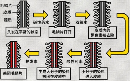 为什么染发的尽头一定是黄色？