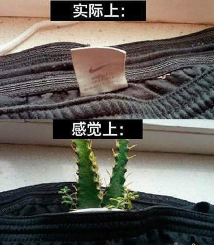 为什么衣服上的缝标基本都在左下侧？