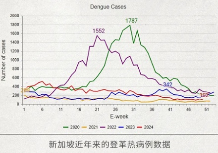 为什么新加坡禁止家里出现蚊子，否则罚钱？