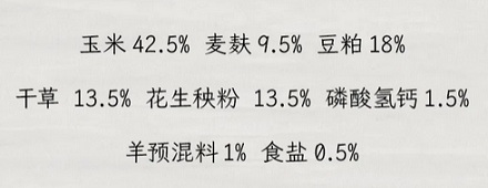 偷吃玉米的羊，为啥会中毒？