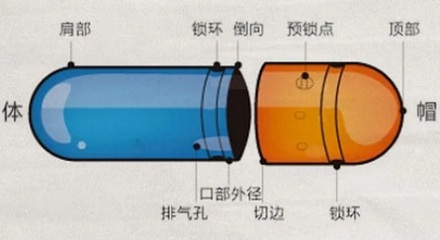 为啥胶囊外壳大多是两种颜色？