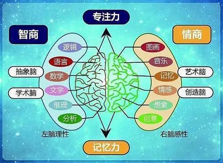 大脑也分「四季」？