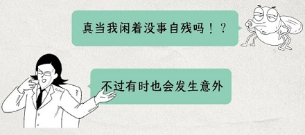 为什么苍蝇要把自己的头拧下来？是好玩吗？