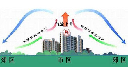 为什么城市里的温度要比近郊高？