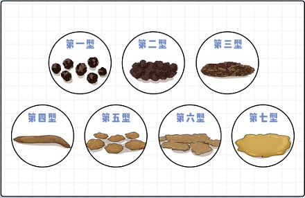 生理冷知识：拉屎的时候，到底要不要夹断？