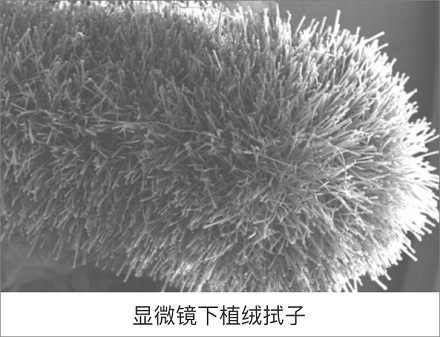 新冠核酸检测用的不是「棉签」？